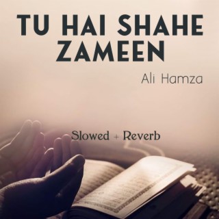 Tu Hai Shahe Zameen Lofi