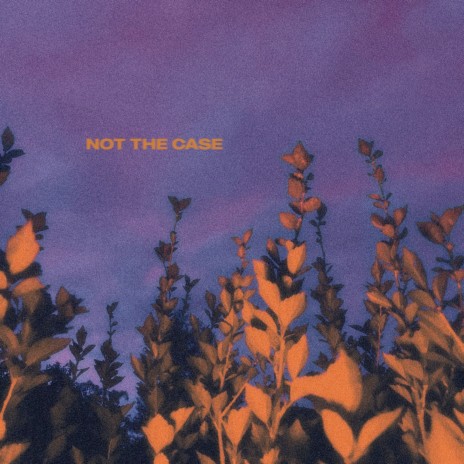 Not the Case | Boomplay Music