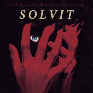 SOLVIT