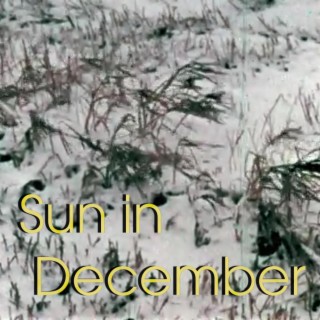 Sun in December