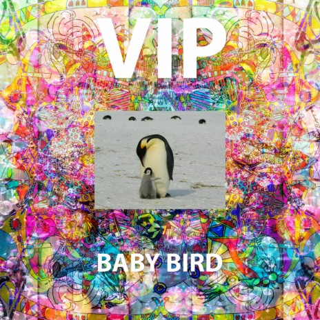 Baby Bird VIP | Boomplay Music