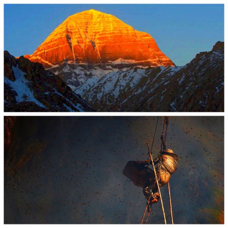 Mount Kailash Honey Hunters | Boomplay Music