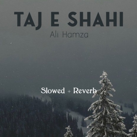 Taj e Shahi Lofi | Boomplay Music