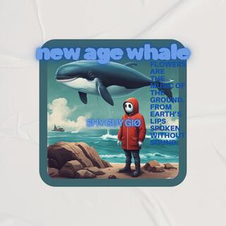 New Age Whale