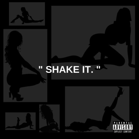 Shake It (feat. DNA Picasso) | Boomplay Music