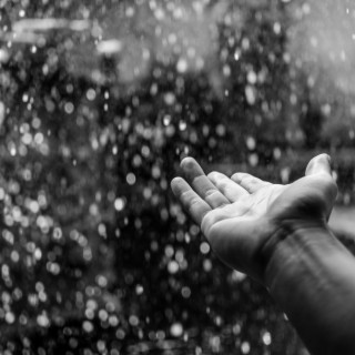 Rain Sounds for Relaxation - Loopable