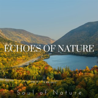 Echoes of Nature