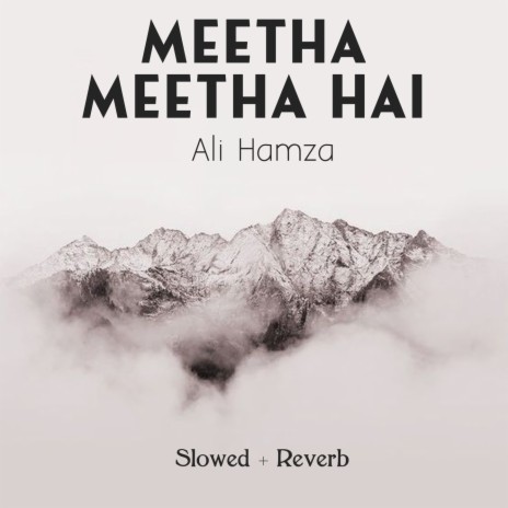 Meetha Meetha Hai Lofi | Boomplay Music