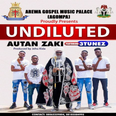 Undiluted | Boomplay Music