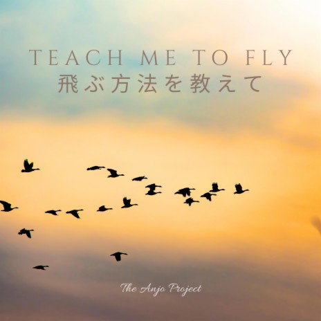 Teach Me to Fly | Boomplay Music