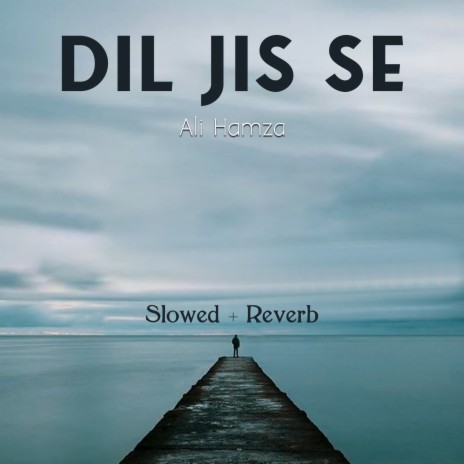 Dil Jis Se Lofi | Boomplay Music