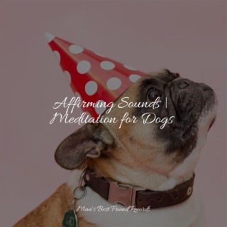 Music for Pets Library