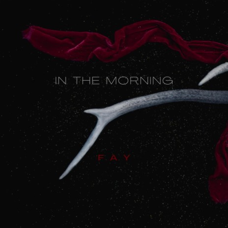 In The Morning | Boomplay Music
