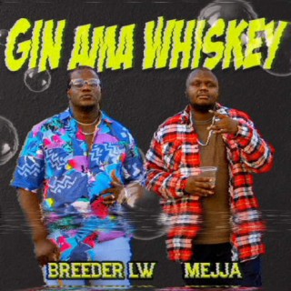 Gin Ama Whiskey ft. Mejja lyrics | Boomplay Music