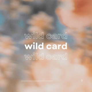 Wild Card lyrics | Boomplay Music