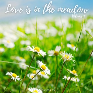 LOVE IS IN THE MEADOW 3