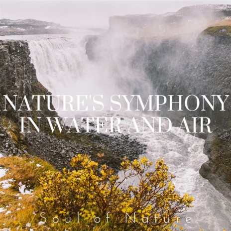 Chirping Brook Harmony ft. HiFi Nature Sound Library | Boomplay Music