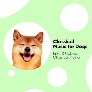 Classical Music for Dogs: Epic & Upbeat Classical Piano