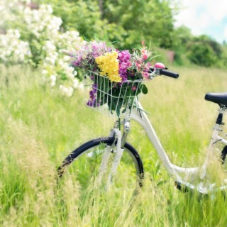 Daisy Bell (Bicycle Built for Two)