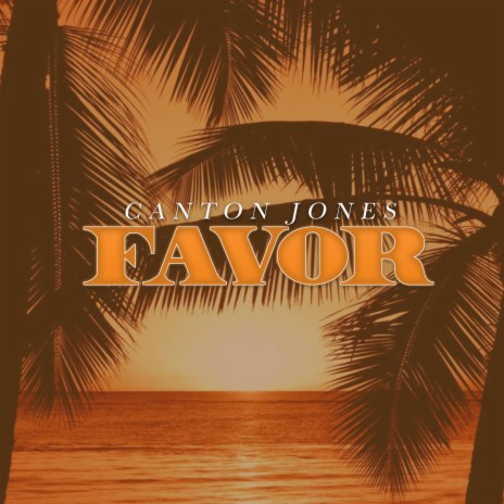 FAVOR | Boomplay Music