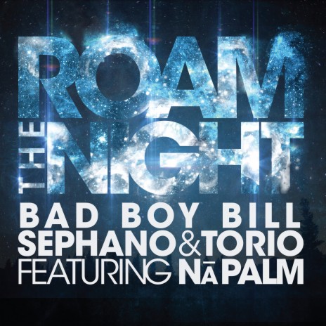 Roam the Night (feat. Na Palm) | Boomplay Music