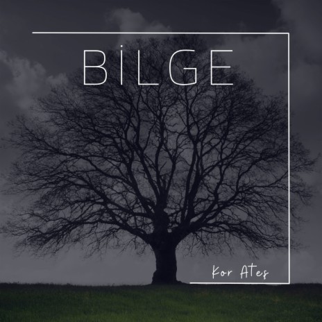 Bilge | Boomplay Music