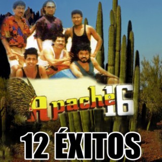 12 Éxitos