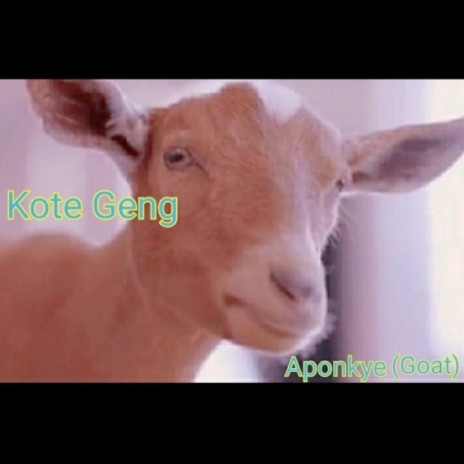 Aponkye (Goat) | Boomplay Music