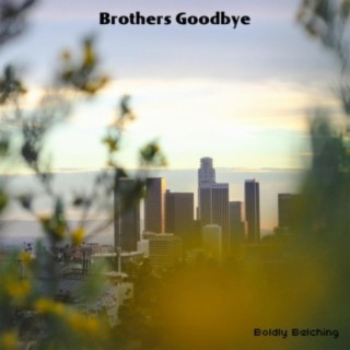 Brothers Goodbye