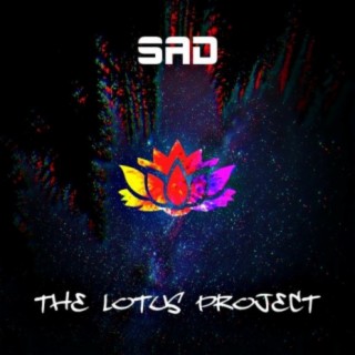 THE LOTUS PROJECT