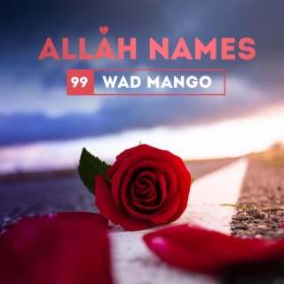 Allah Names