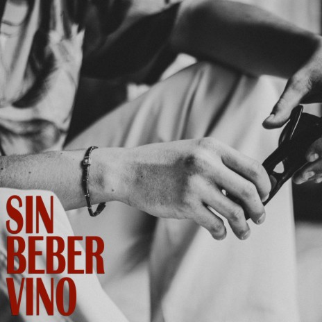 Sin beber vino ft. David Zamora | Boomplay Music