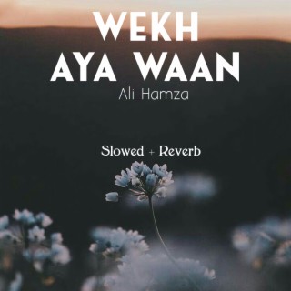 Wekh Aya Waan Lofi