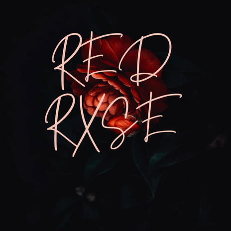 RED RXSE | Boomplay Music