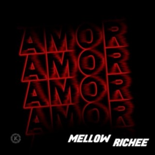 AMOR (feat. Richee)