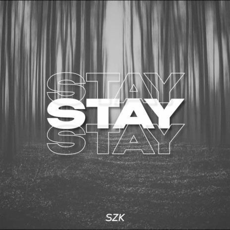 Stay | Boomplay Music