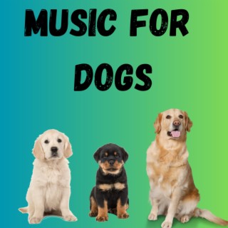 Music For Dogs (Vol.62)