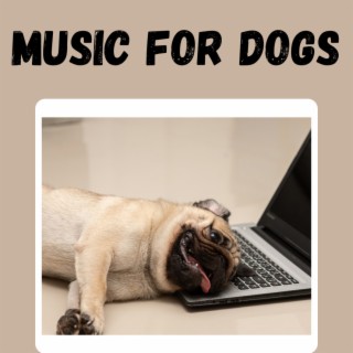 Music For Dogs (Vol.78)