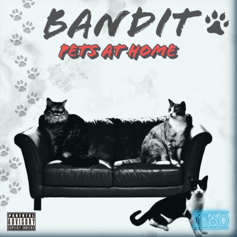 Pets At Home ft. Gone in 60 | Boomplay Music