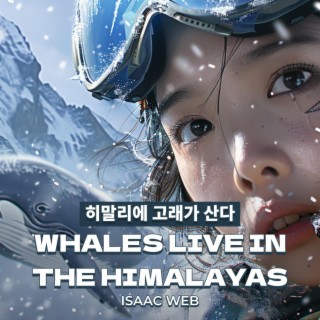 히말라야에 고래가 산다(Whales Live in the Himalayas) (Live)