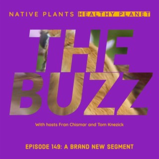 The Buzz - A Brand New Segment