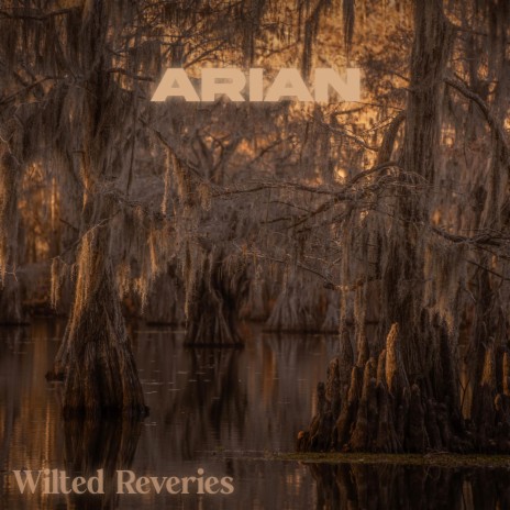 Wilted Reveries | Boomplay Music