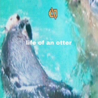 life of an otter