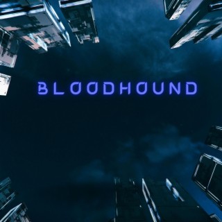 Bloodhound