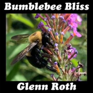 Bumblebee Bliss