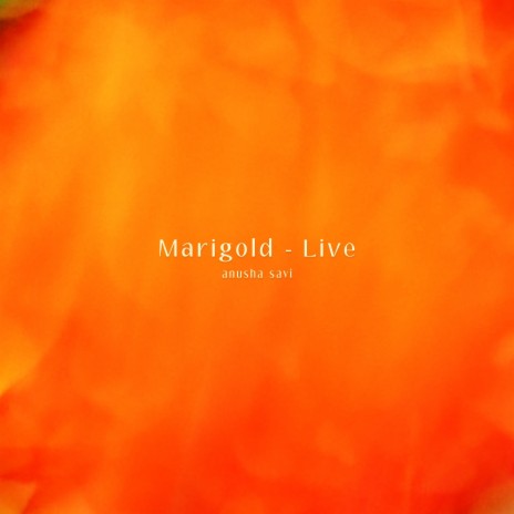 Marigold - Live