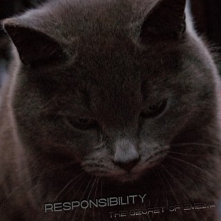 Responsibility