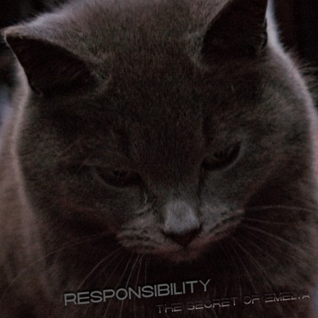 Responsibility (Slowed)