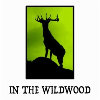 In the Wildwood (Original Soundtrack)