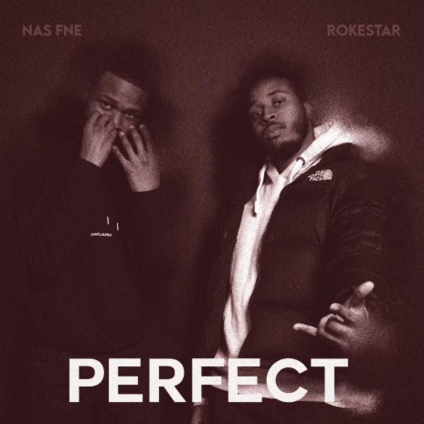 Perfect ft. Nas FNE | Boomplay Music